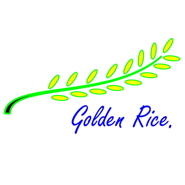 Golden Rice Brand